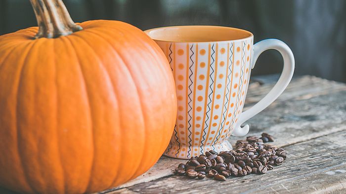 Umzug und Herbst in Zürich